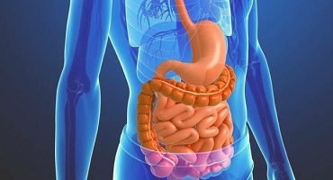 Câncer de intestino: diagnóstico  precoce aumenta chances de cura