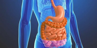 Câncer de intestino: diagnóstico  precoce aumenta chances de cura