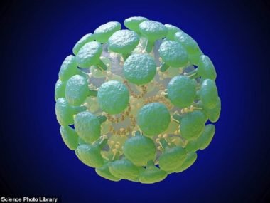 Coronavírus: mais de 200 mil pessoas estão curadas no Brasil