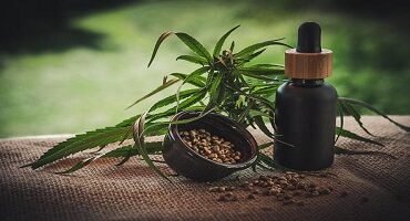 Anvisa aprova uso de remédio derivado de cannabis medicinal