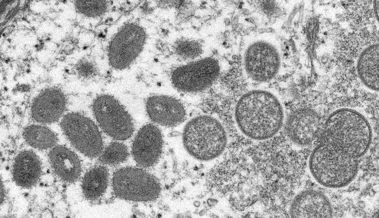 OMS: Mundo registra 41 mil casos de varíola dos macacos
